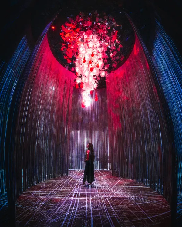 Crimson Dreams Exhibition