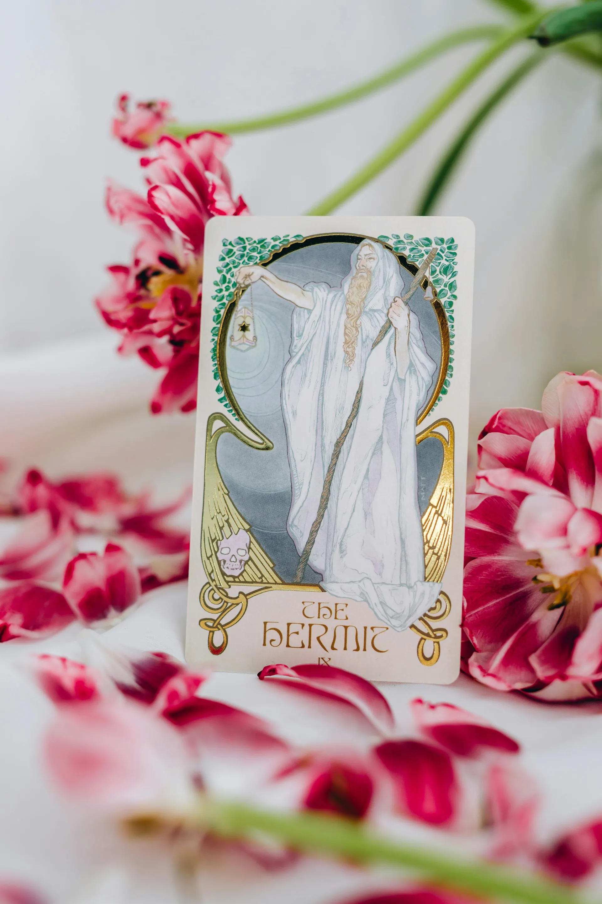 Eightfold Borderless Bloom Exhibition