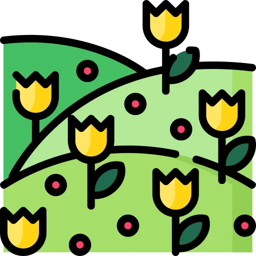 Enlightenment Center